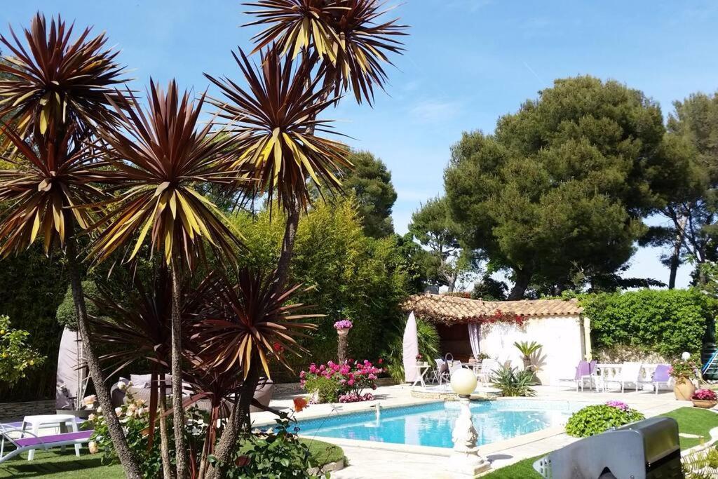 Dans De Charme, Piscine, Proche * Cassis